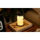 Gingko Design Mini Twist Hexagon Light